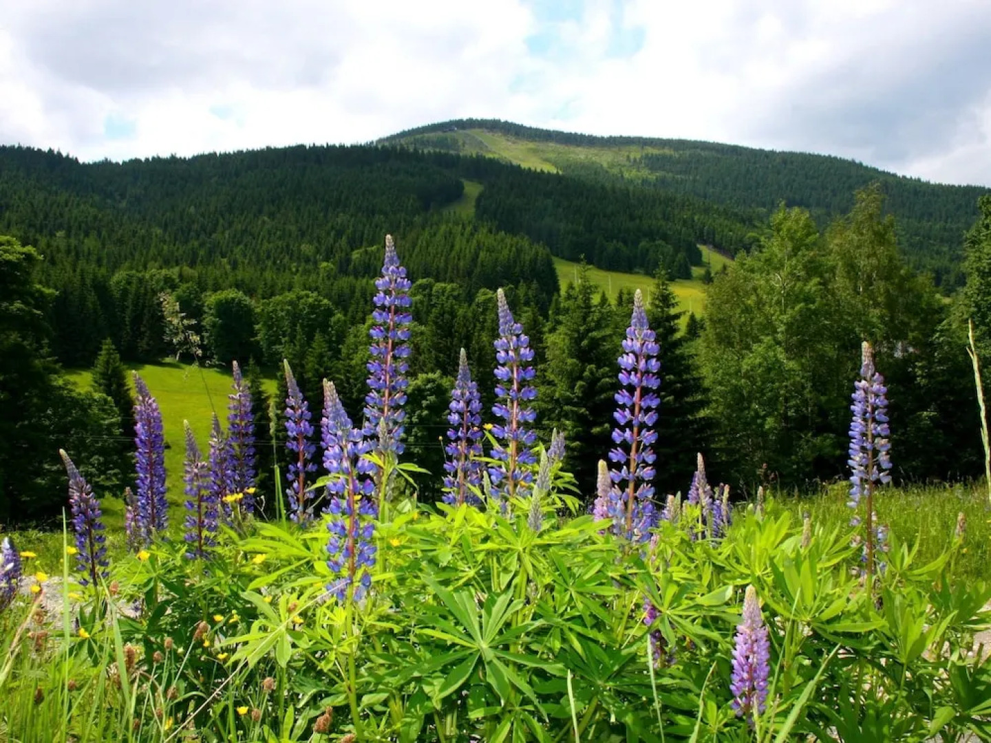 Spacious Holiday Home in Klodzko by the River
