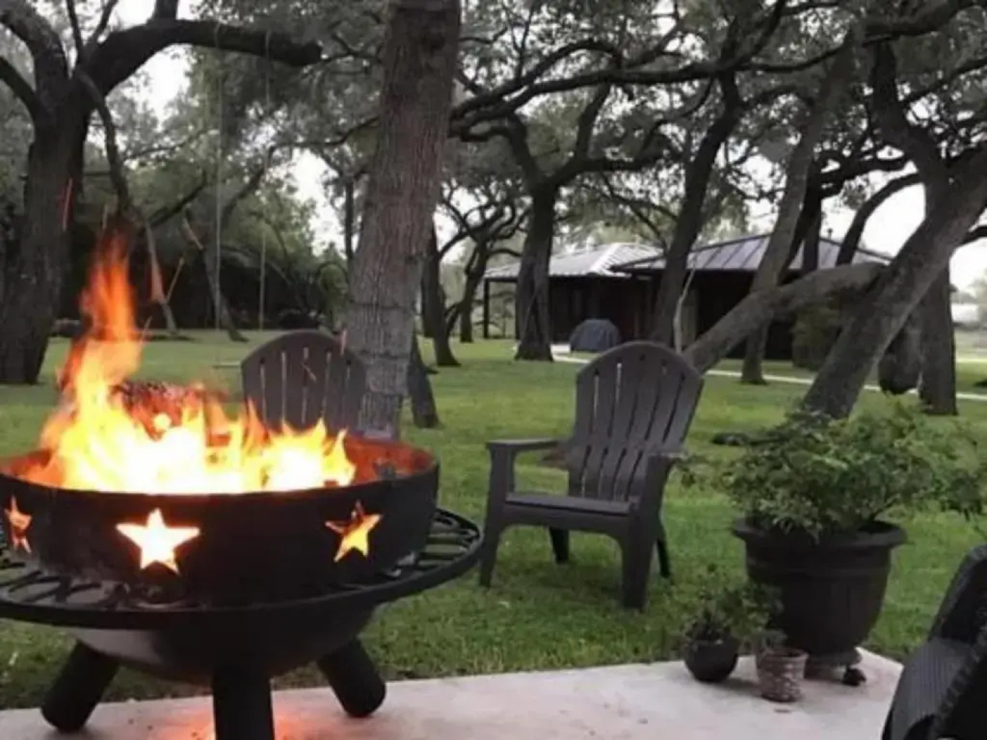 Live Oaks Bed and Breakfast