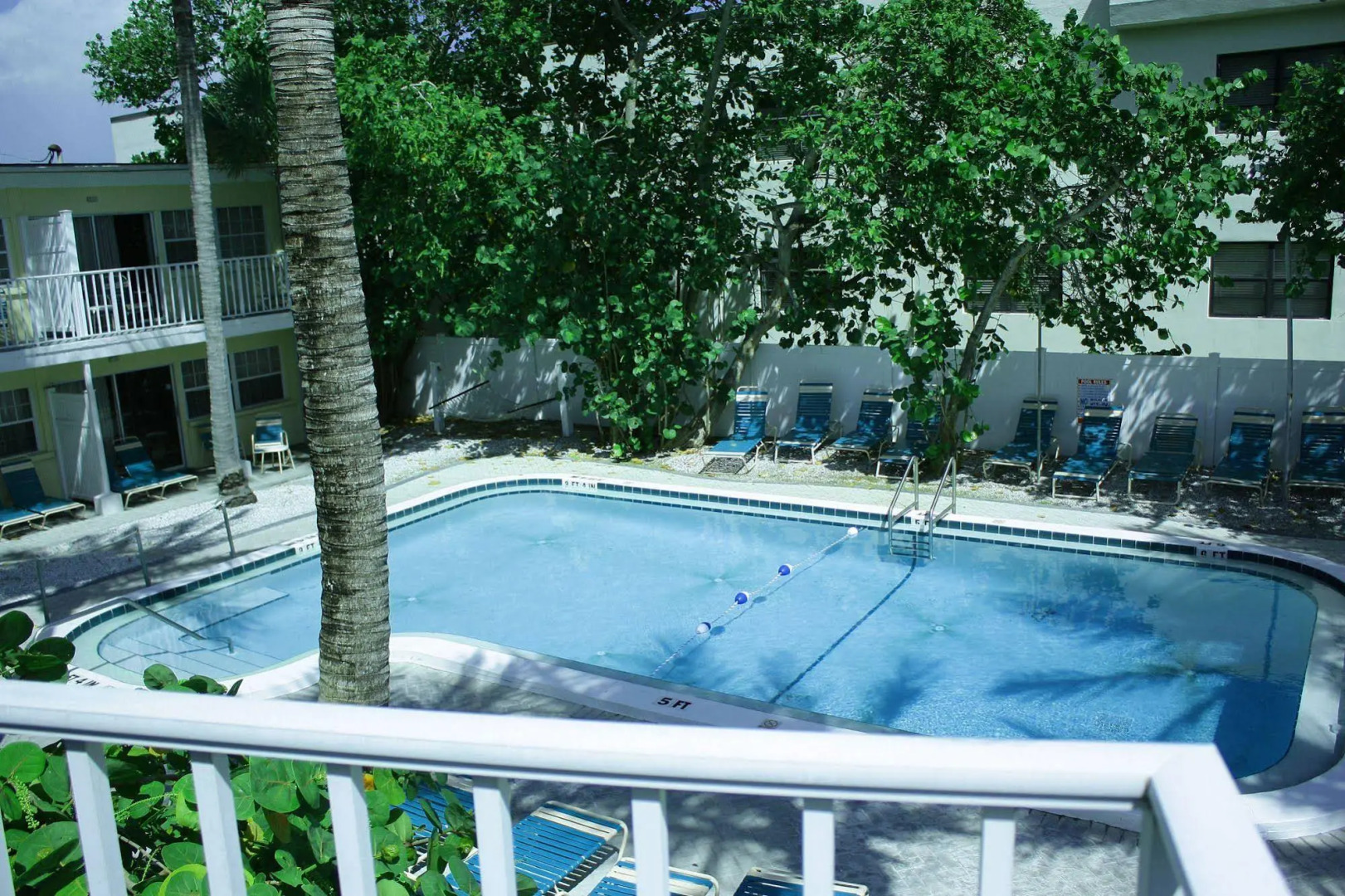 Coquina On The Beach