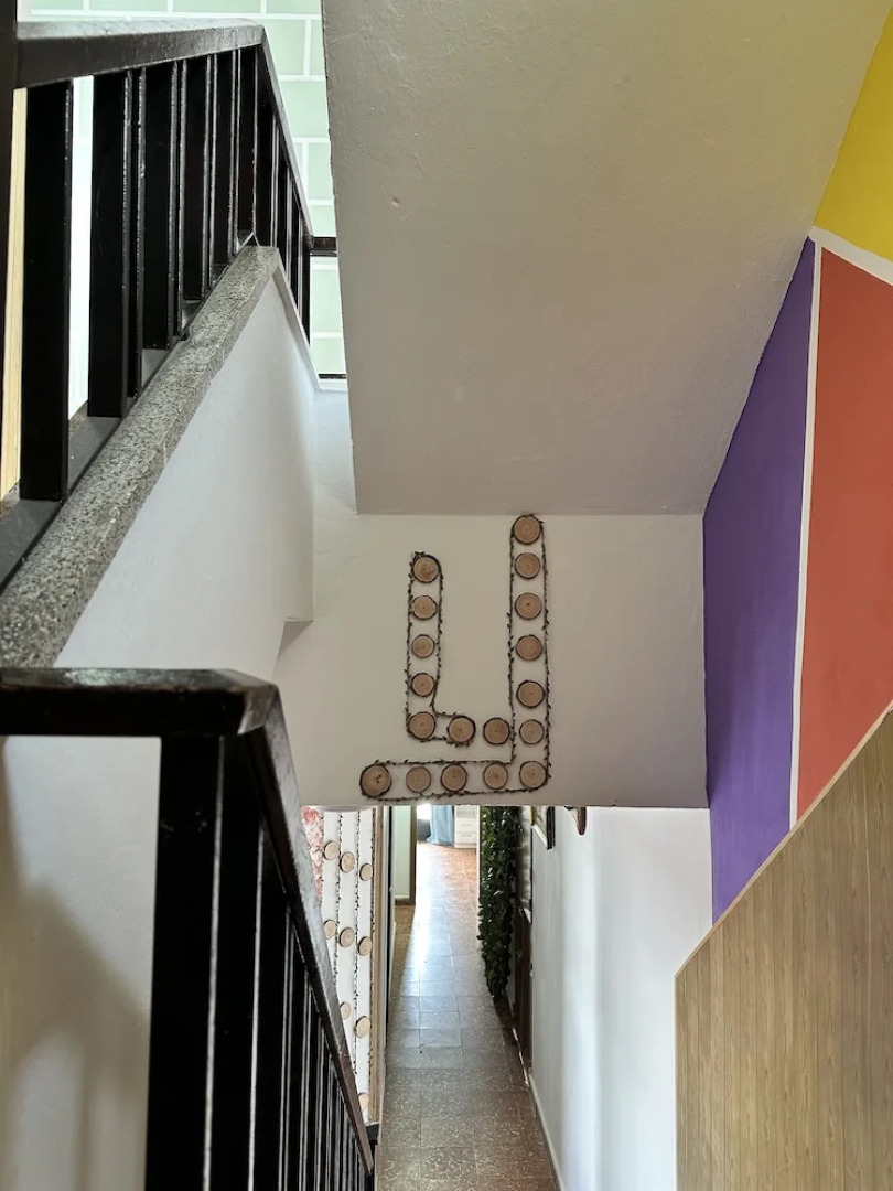 Habitaciones la jungla 22