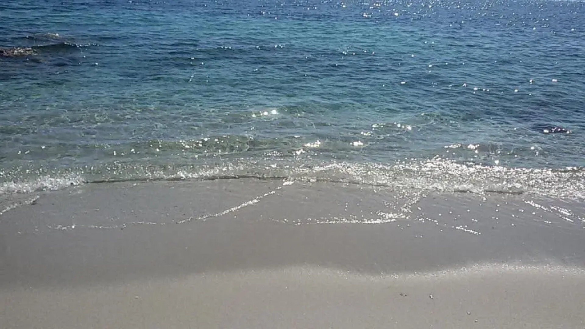 Casa vacanza autonoma immersa nel verde