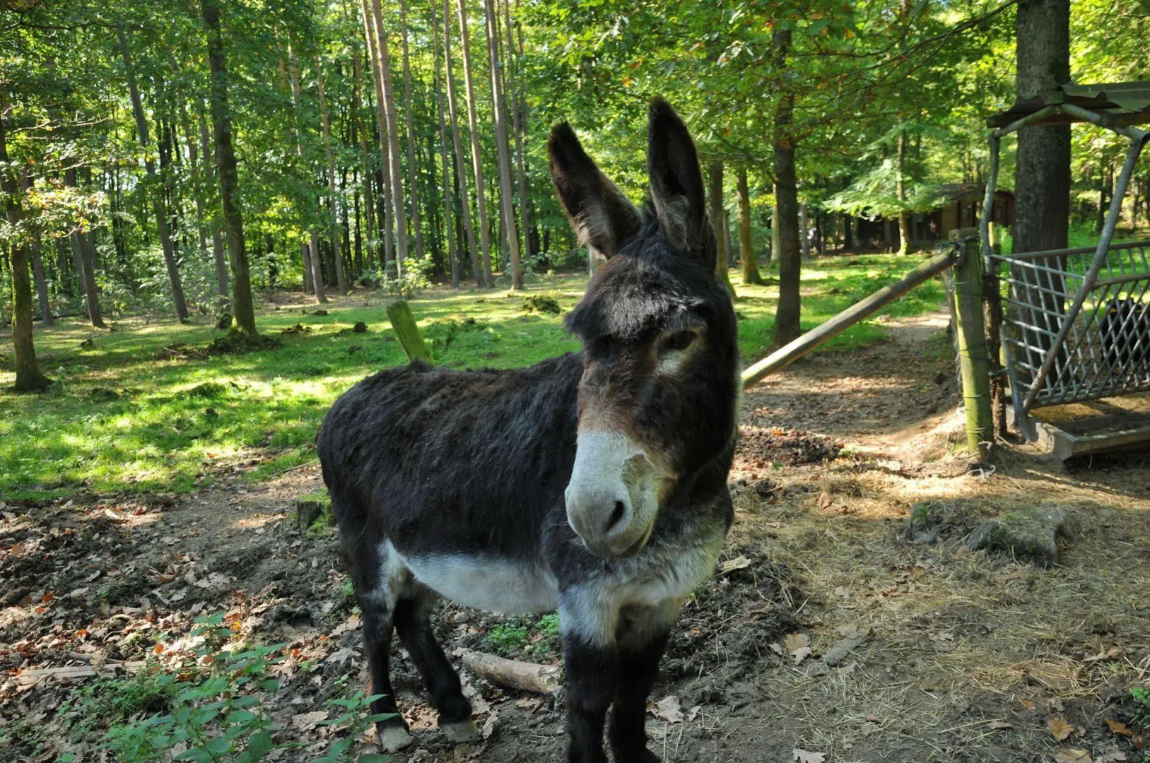 Village de Vacances dOignies