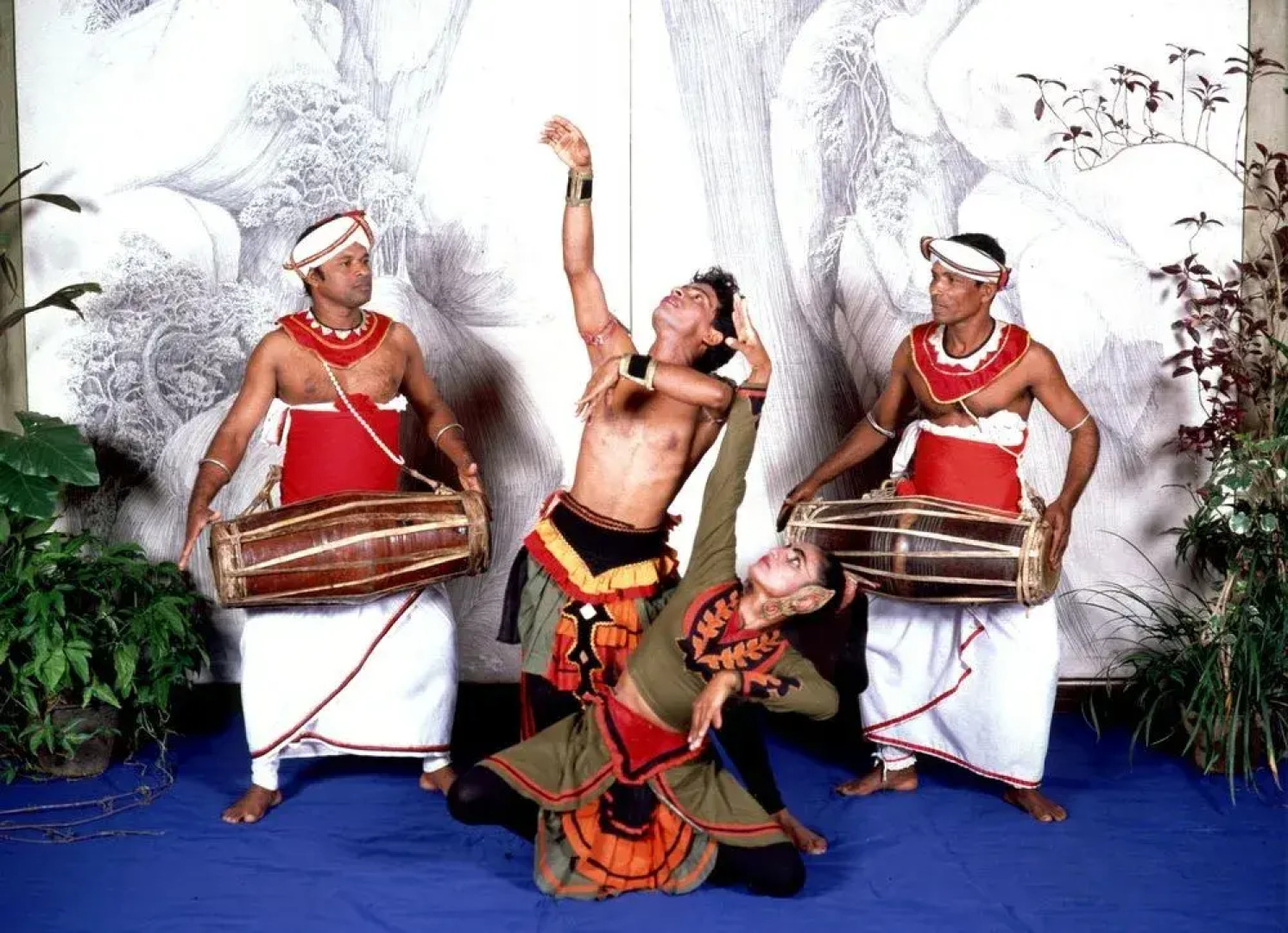 Greenwood Hotel Sigiriya