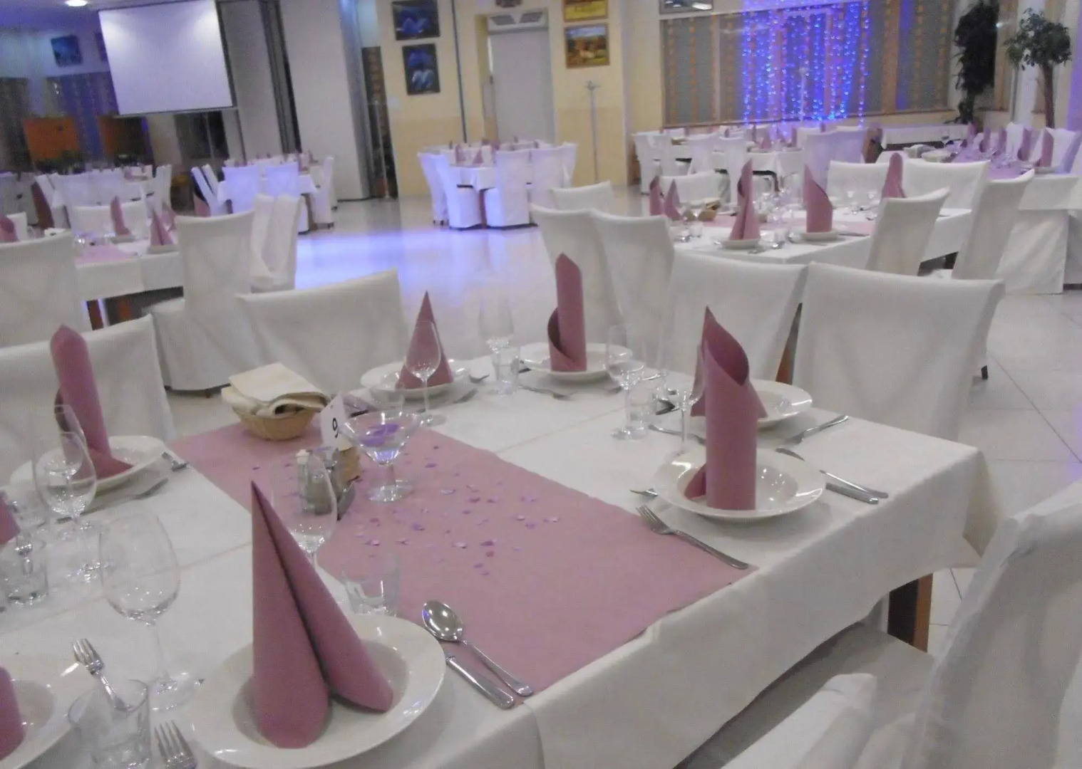 Hotel Galaksija Trebnje