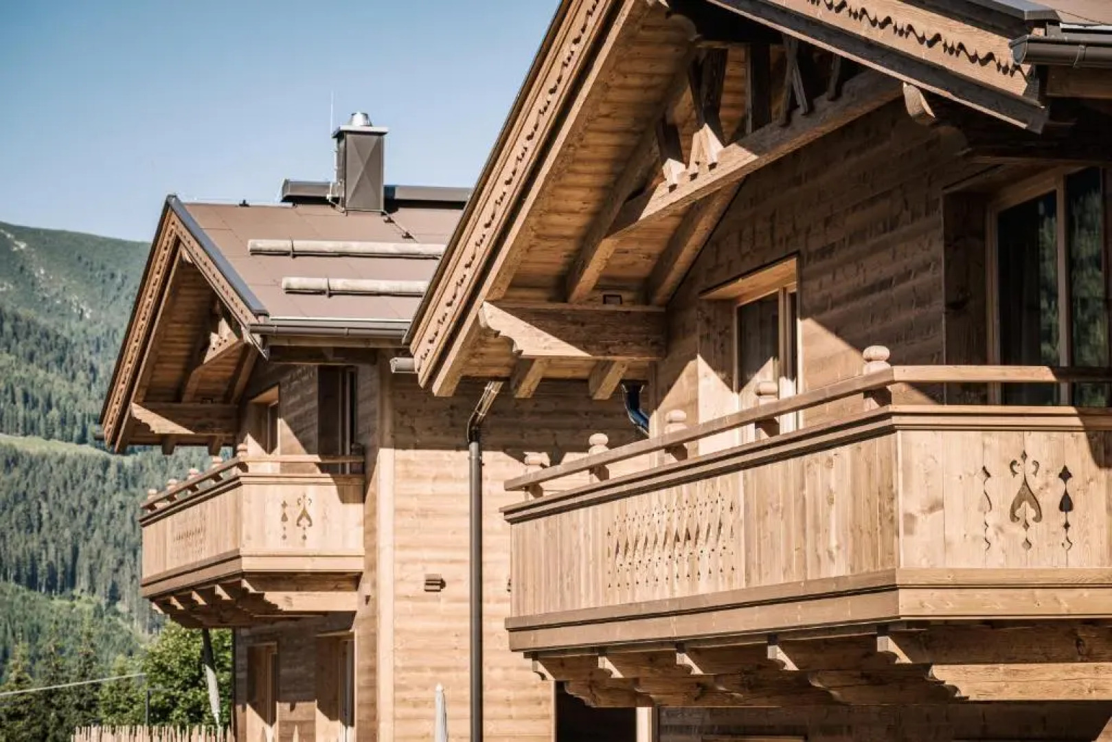 Farm Resort Geislerhof -Family Chalet-