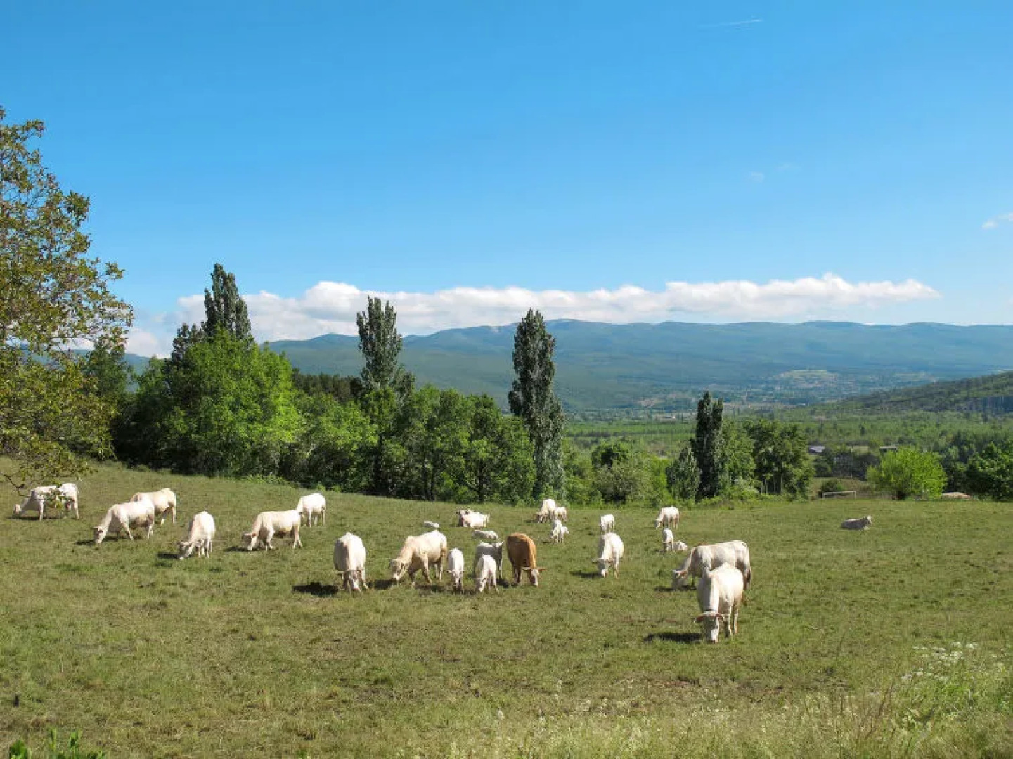 A Casa Serena, chambres d'hôtes en Luberon Côté Sud
