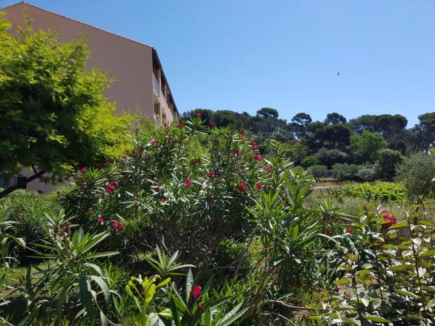 Studio confortable au calme proche du port et de la plage grande terrasse et parking résidence le Grand Large