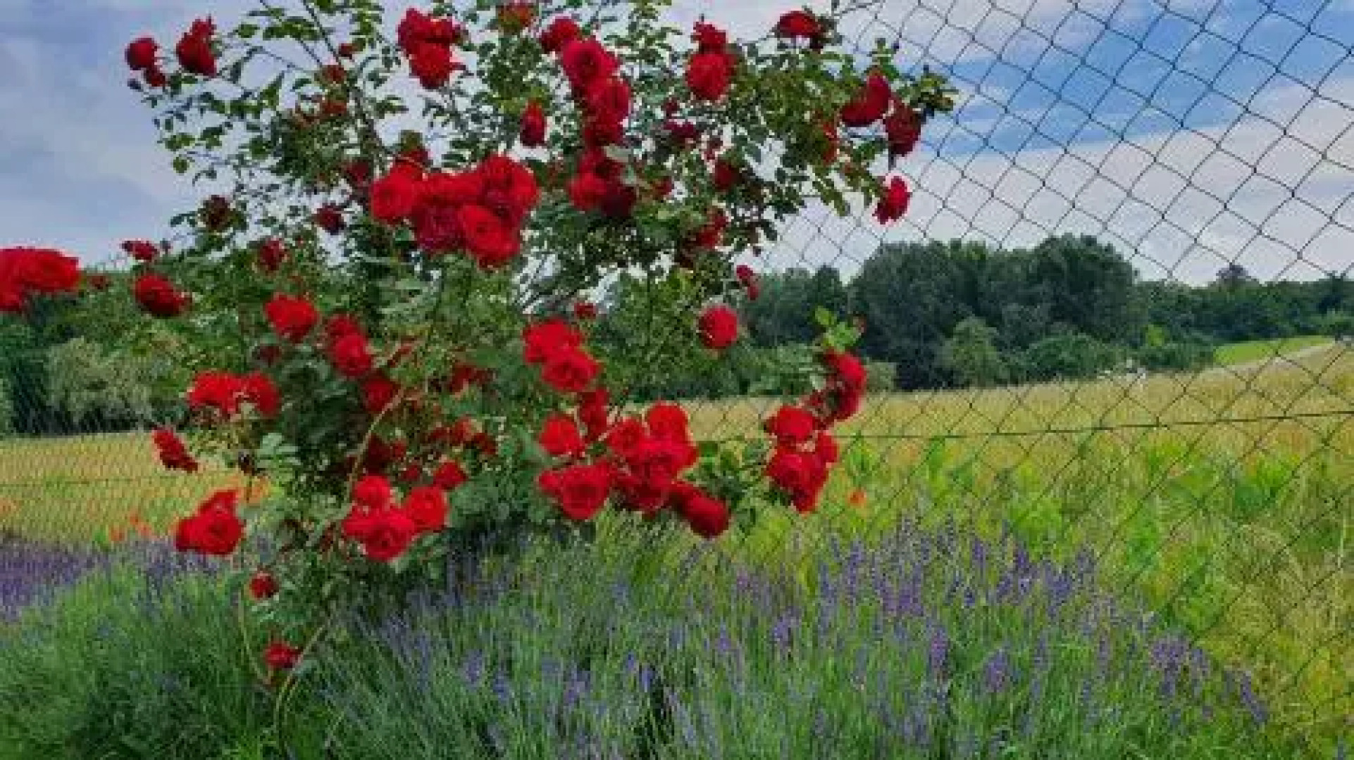 Penzion Na Lednické