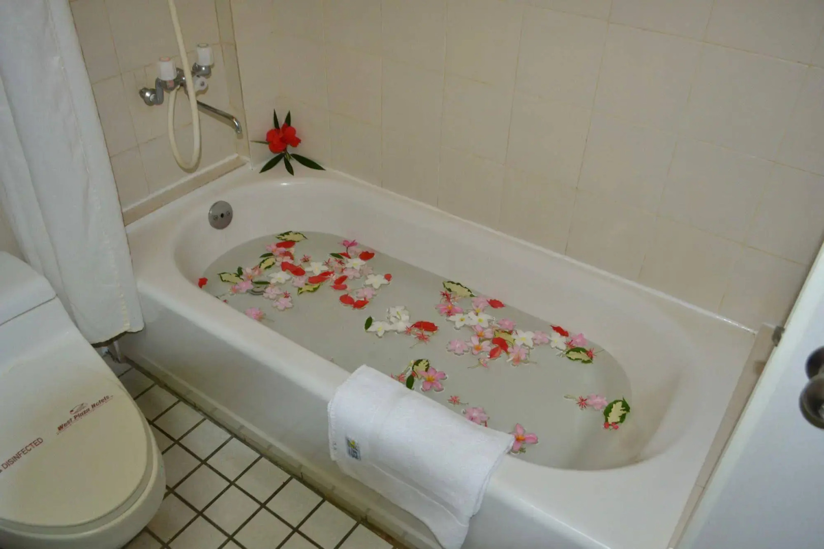 West Plaza Hotel by the Sea