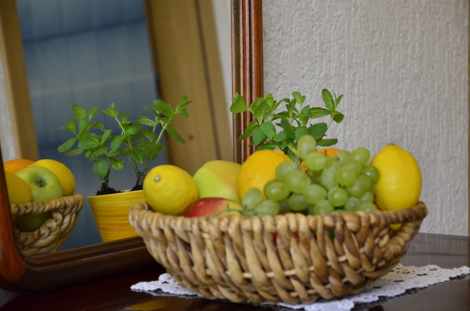 Apartments Lounger Frkovic