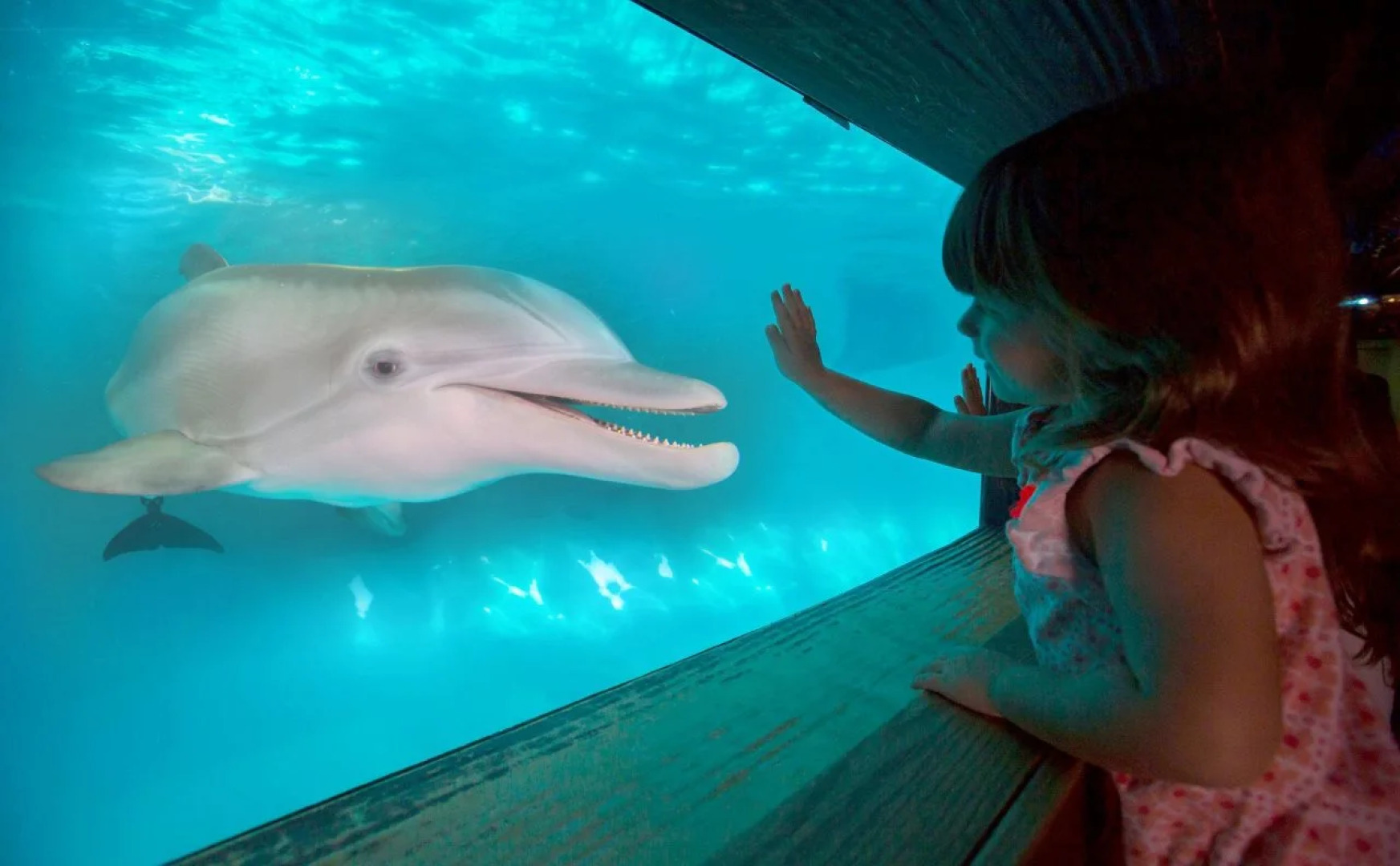 Edge Hotel Clearwater Beach