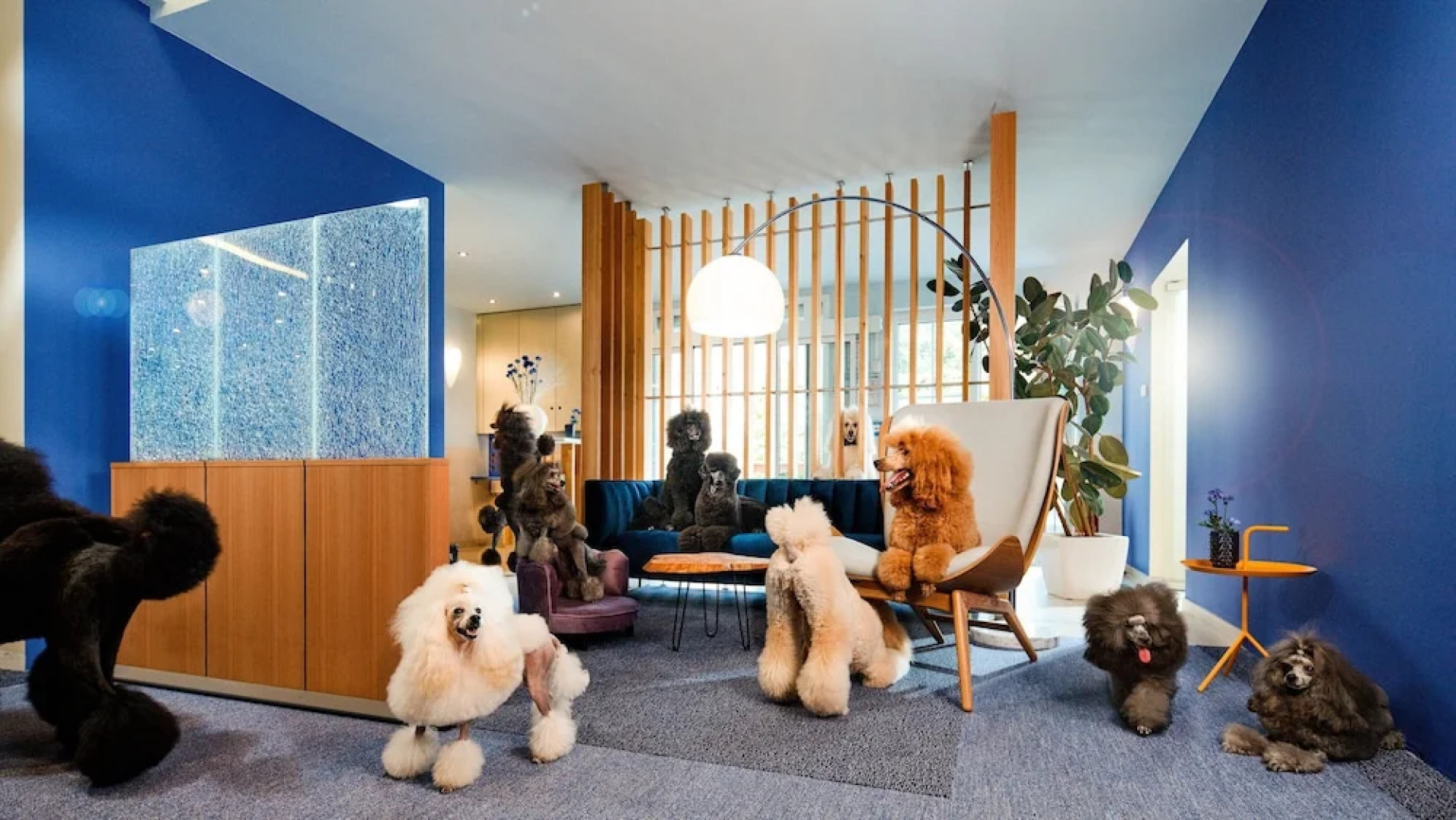 Kristallhotel Fettehenne