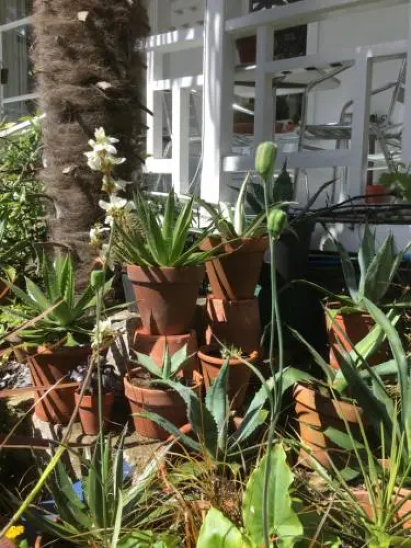 Cary Court - Guest House