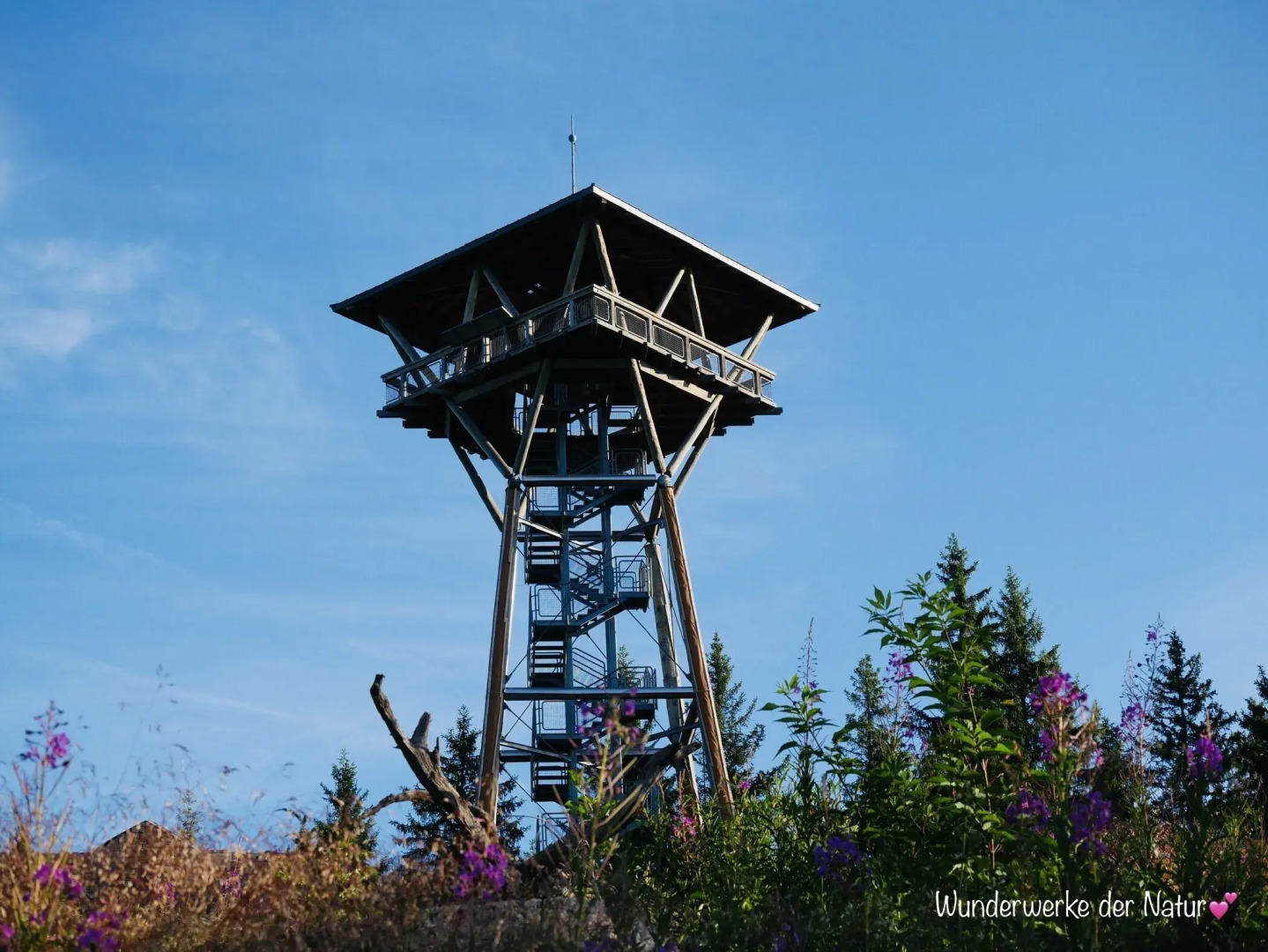 Wochner's Hotel Sternen