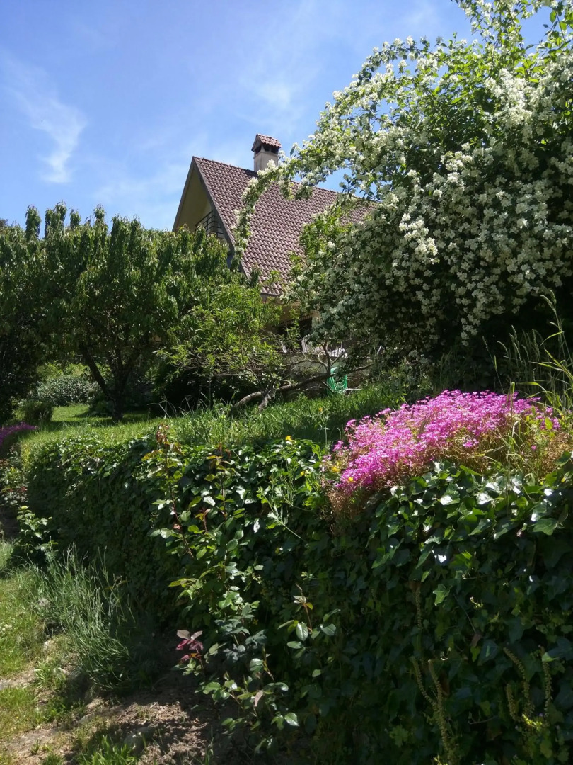 Puente Canto de Gredos