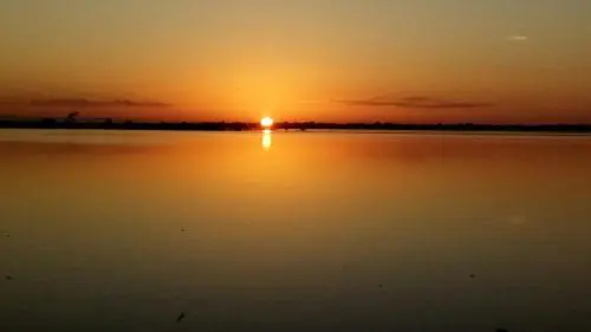 Pousada de Selva Jacaré