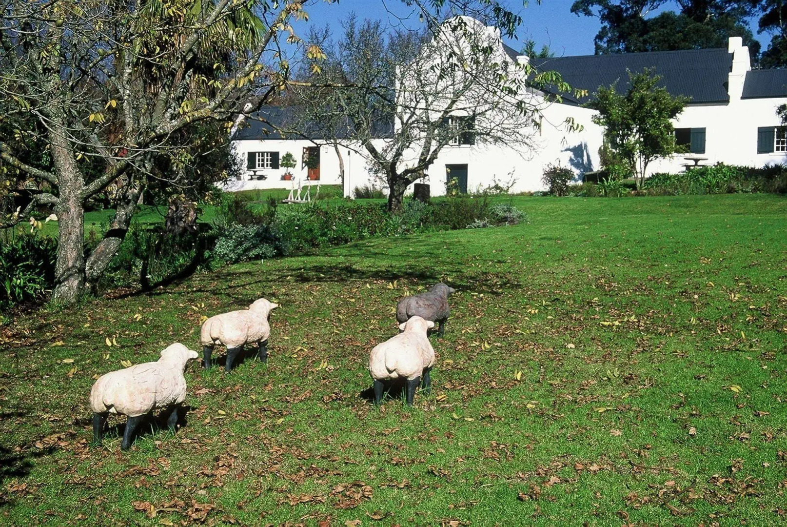 Wildekrans Country House