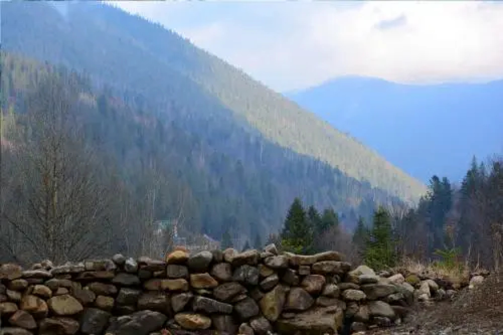 Sadyba na Gutsulsky Polonyni