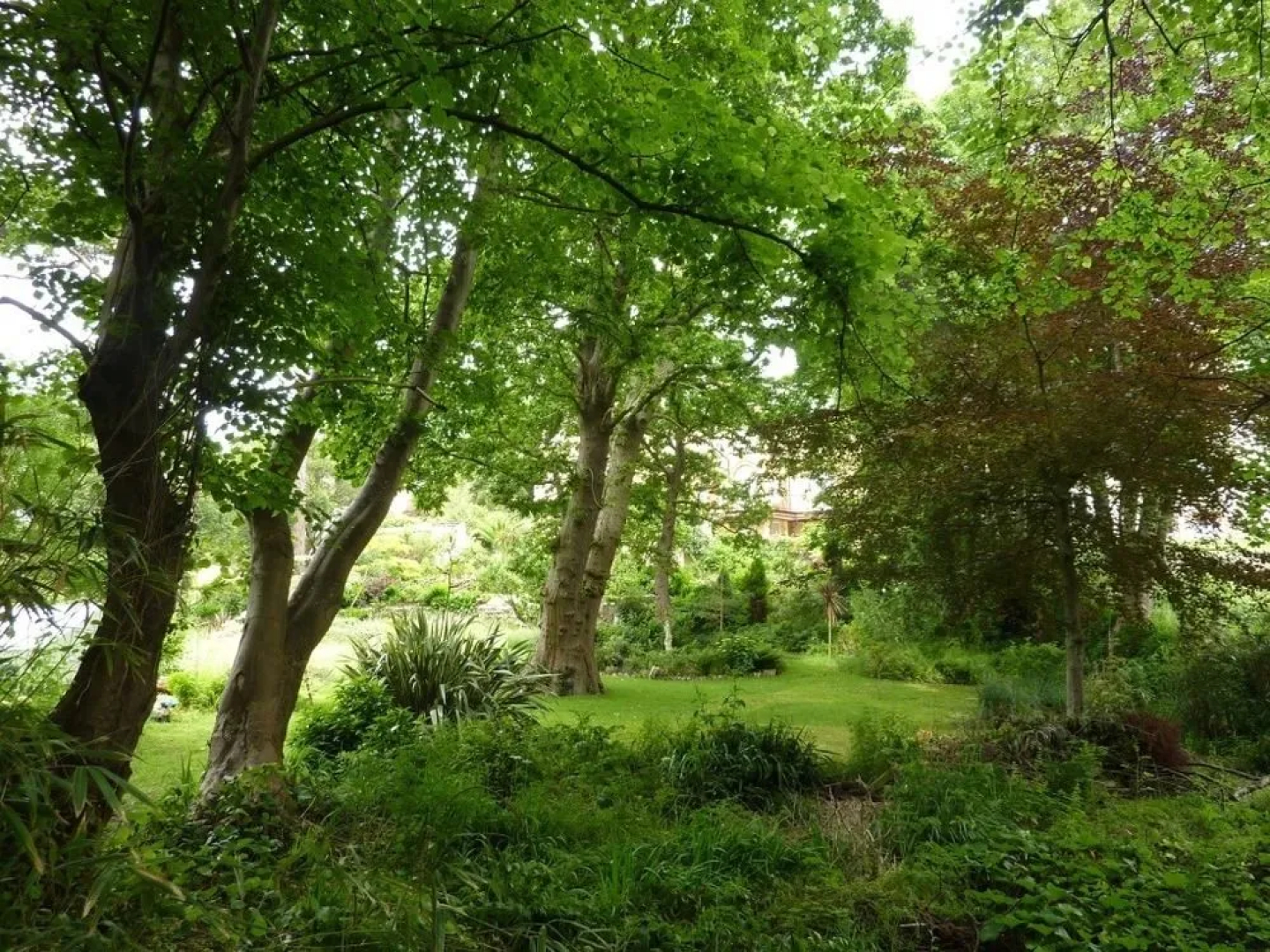 The Woodlands