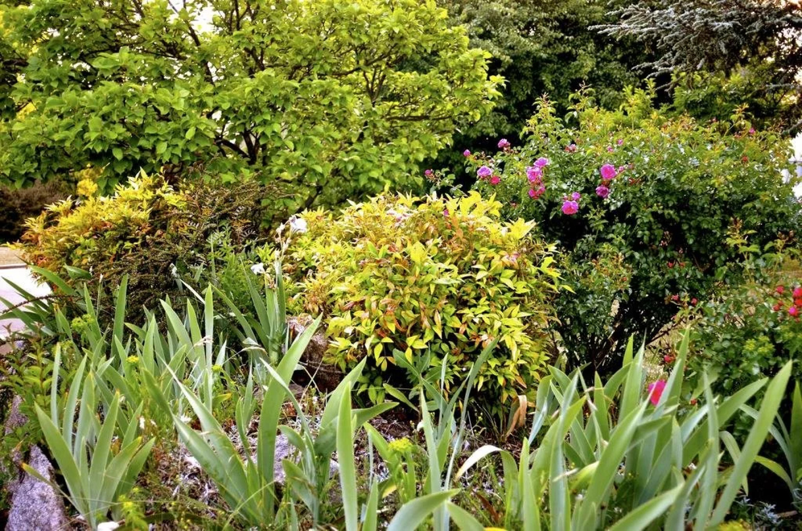 The Glasshouse Boutique Accommodation