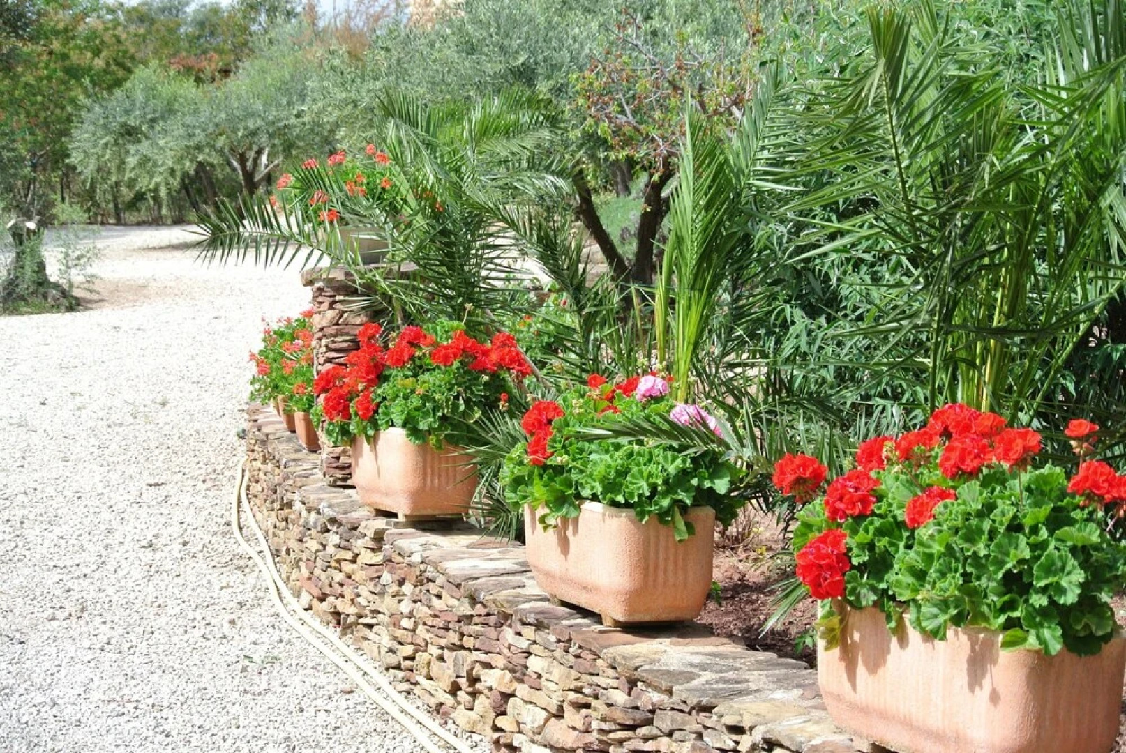 The Gîte Vallée du Moulin de L'olivette