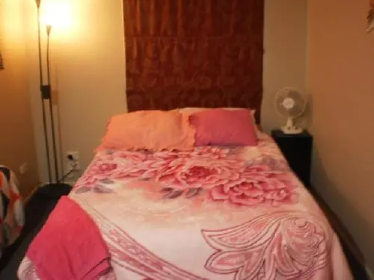 Dream Homes - Auckland City