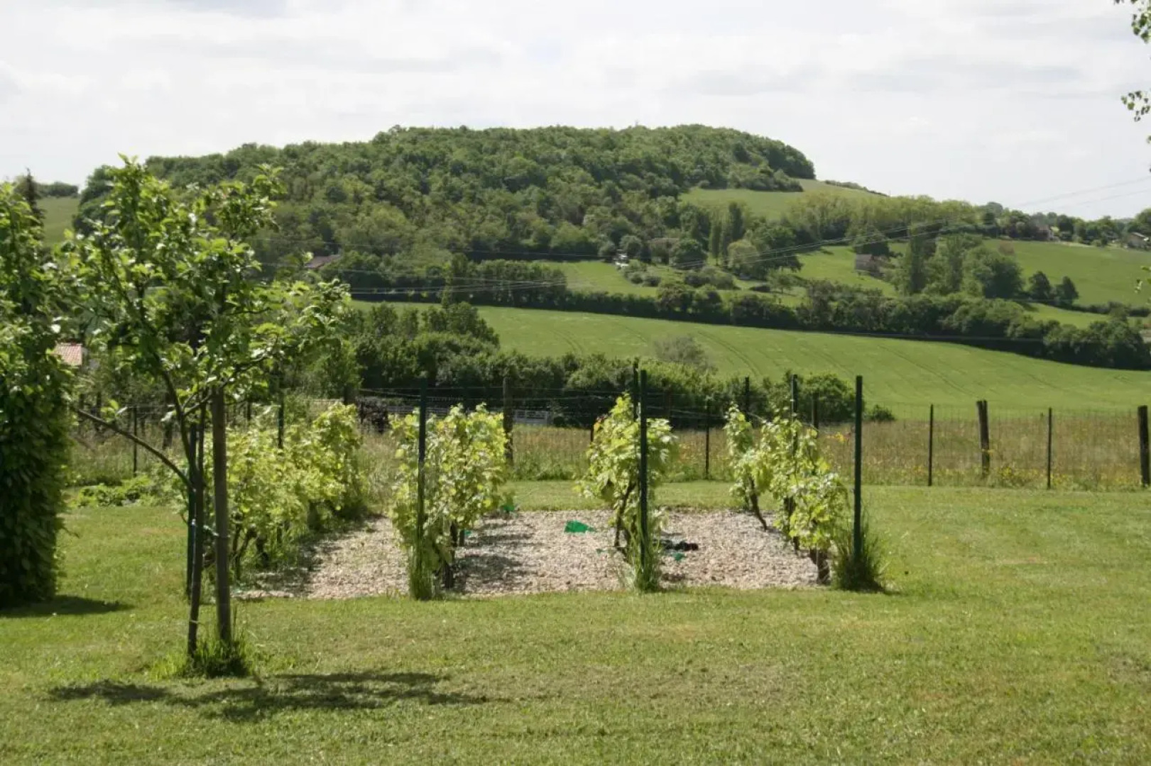 1 Bedroom House 20min Walk To Centre in Tournus (Adults Only)