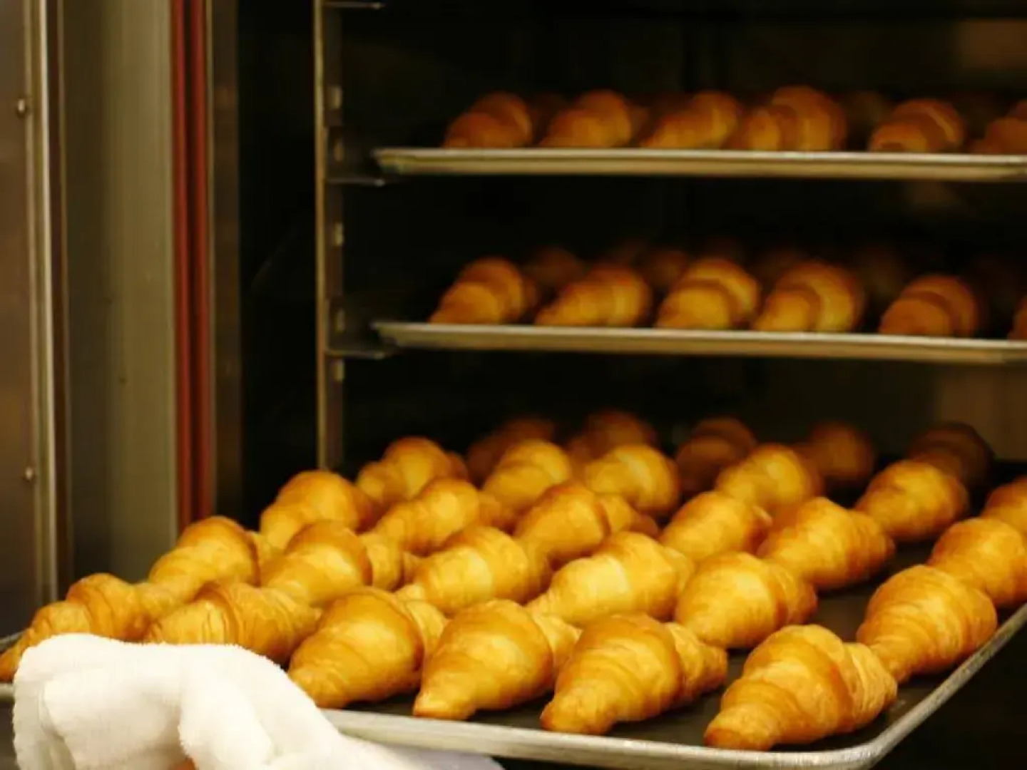 Dogashima NEW Ginsui