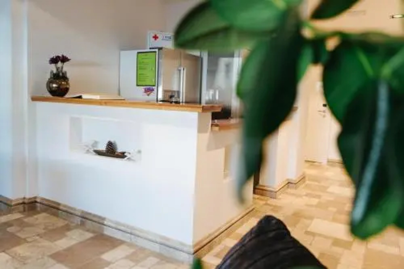 Bed & Breakfast Mojca