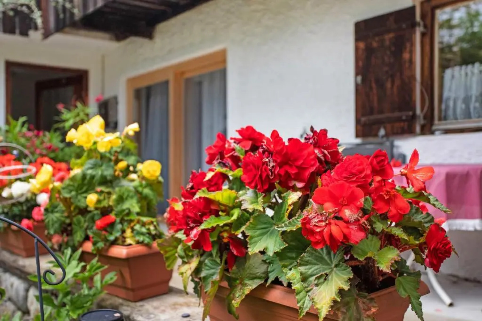 Ferienwohnung Haus Brenner