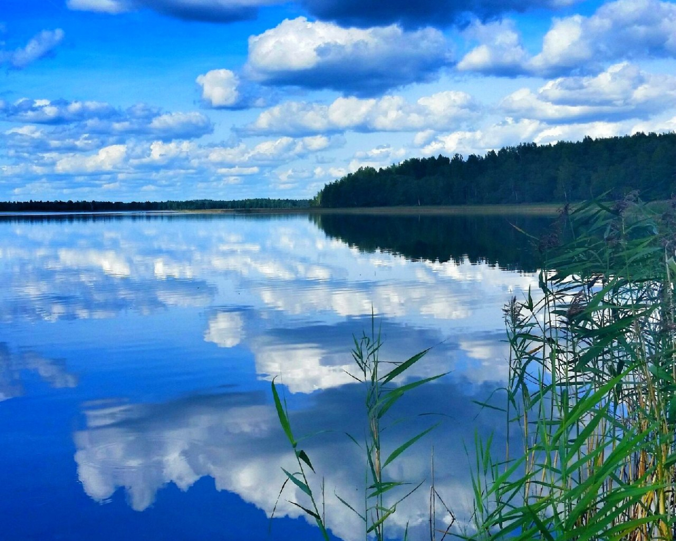 Леошки