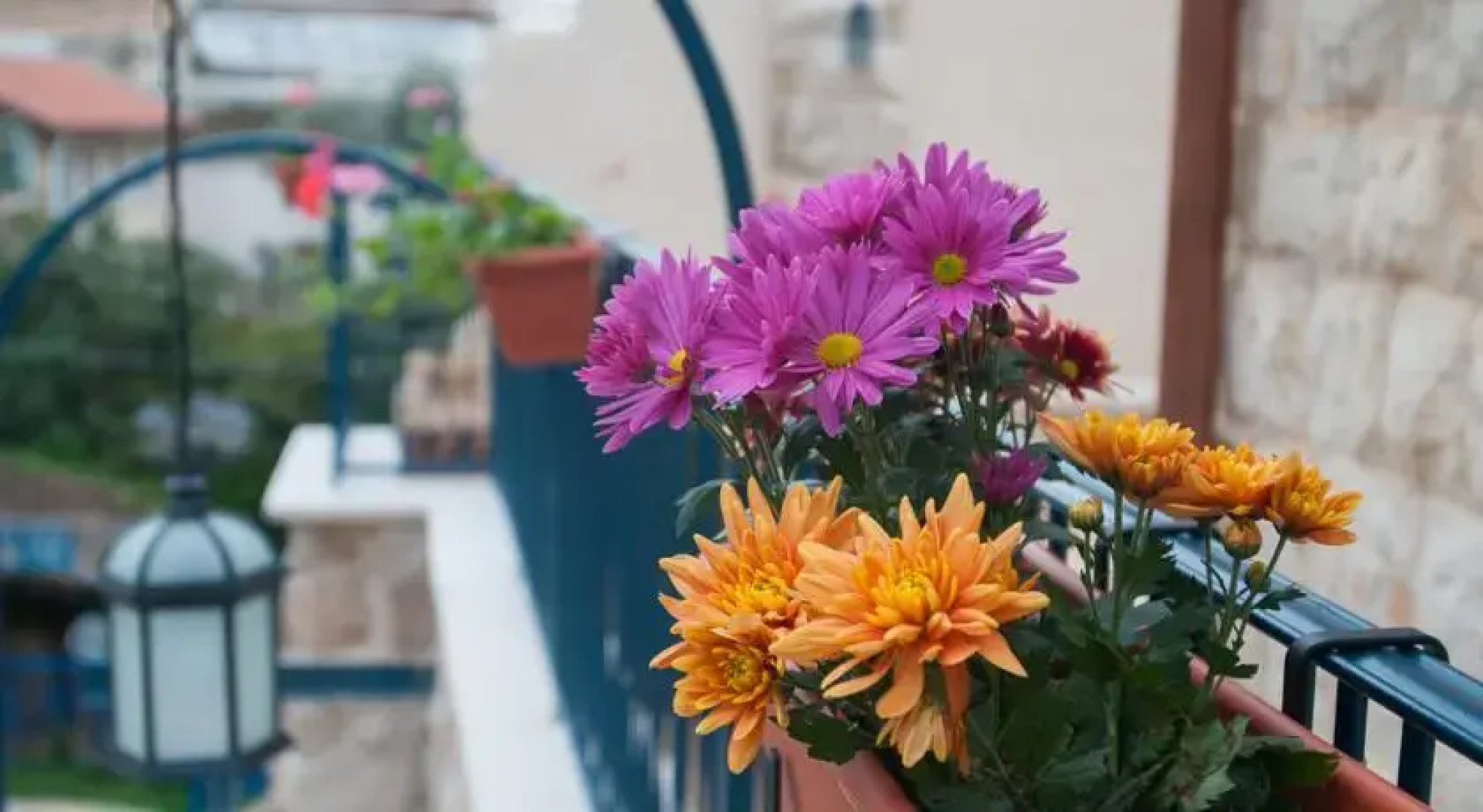 Khan Of The White Donkey