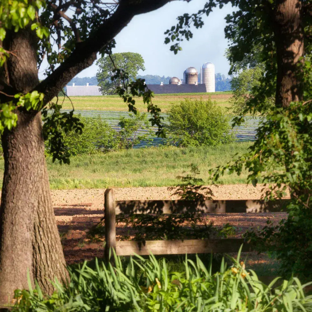Candlelight Inn Bed & Breakfast