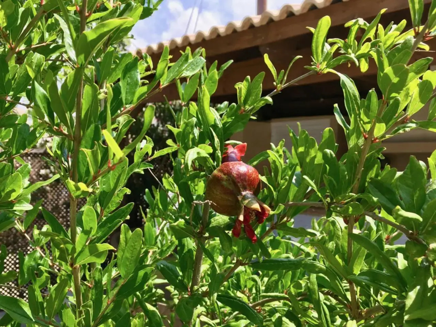 Villa Panorama - Stunning views in villa with hot tub, pool, garden