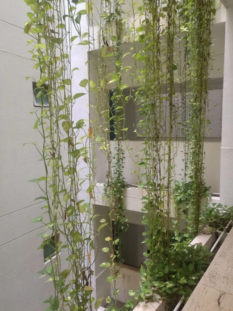 Apartamento frente al mar Morros Epic