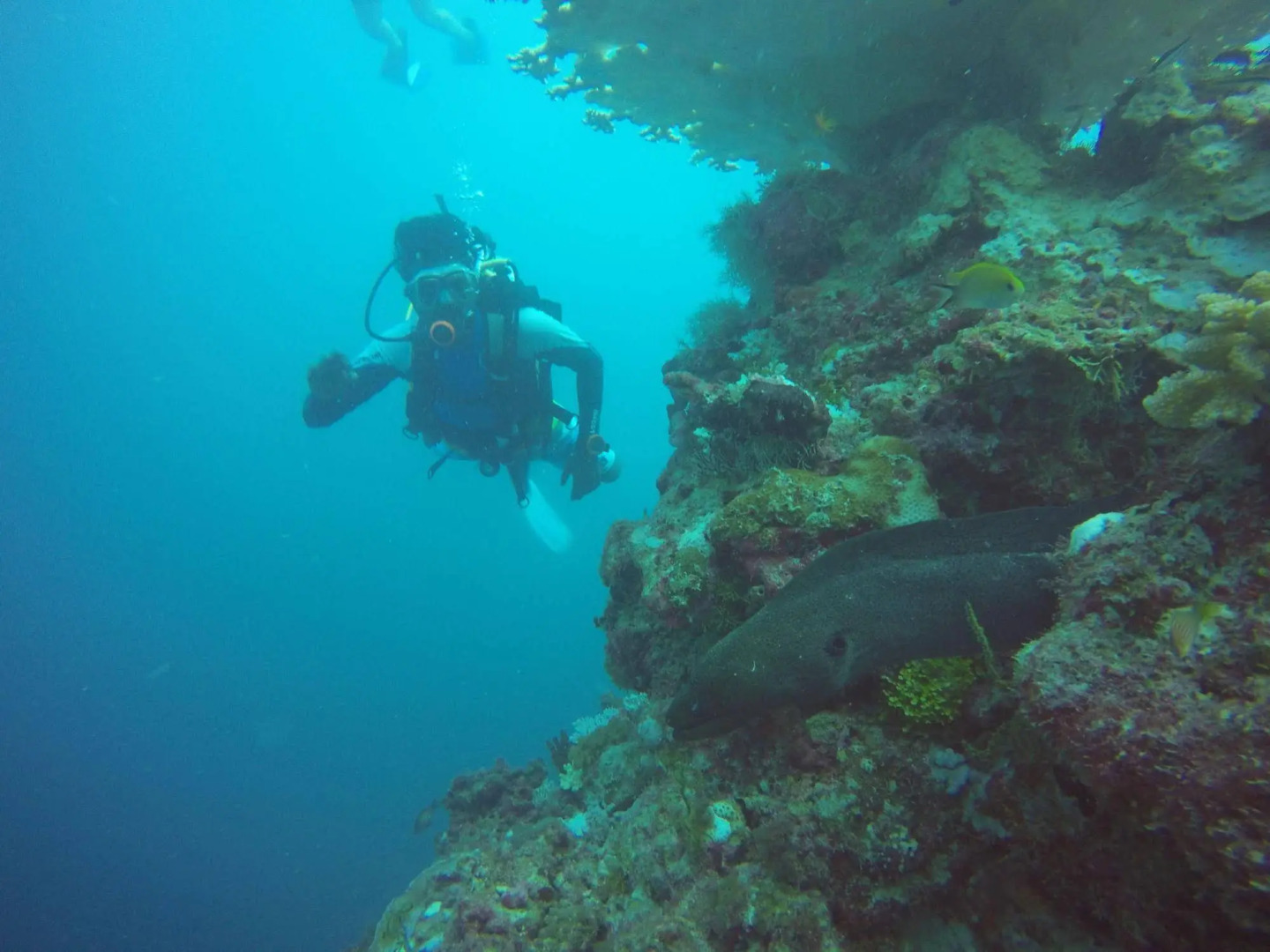 Rasdhoo Holiday Home