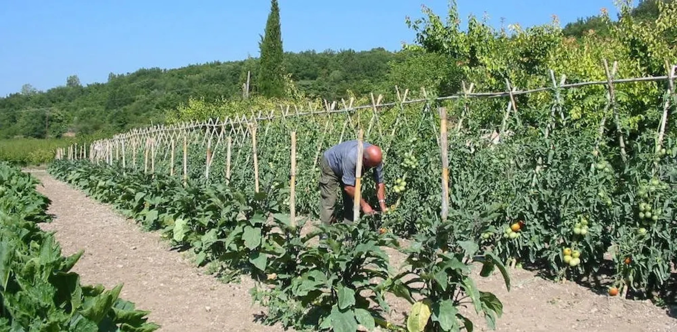 Val des Nymphes Chambres d'Hôtes
