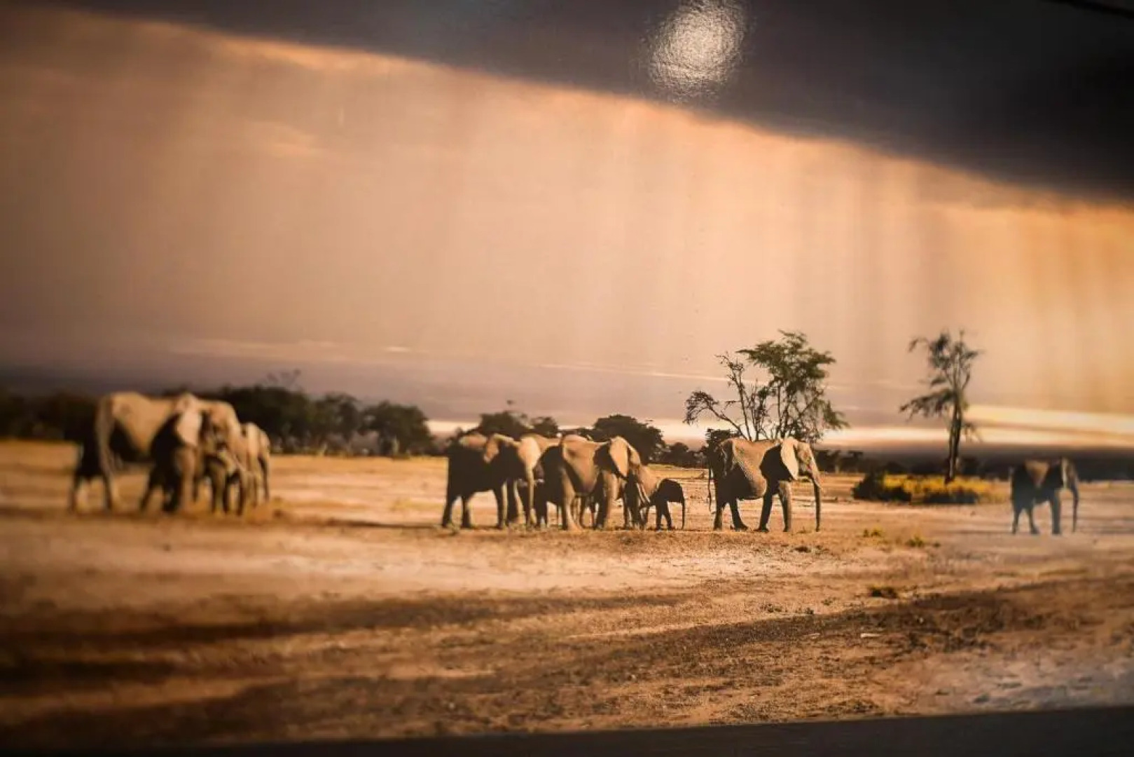 True Color Apartment