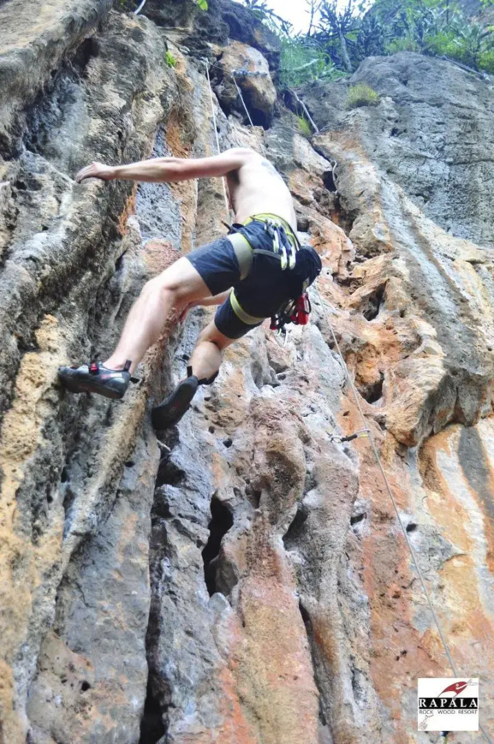 Rapala Rock Wood Resort