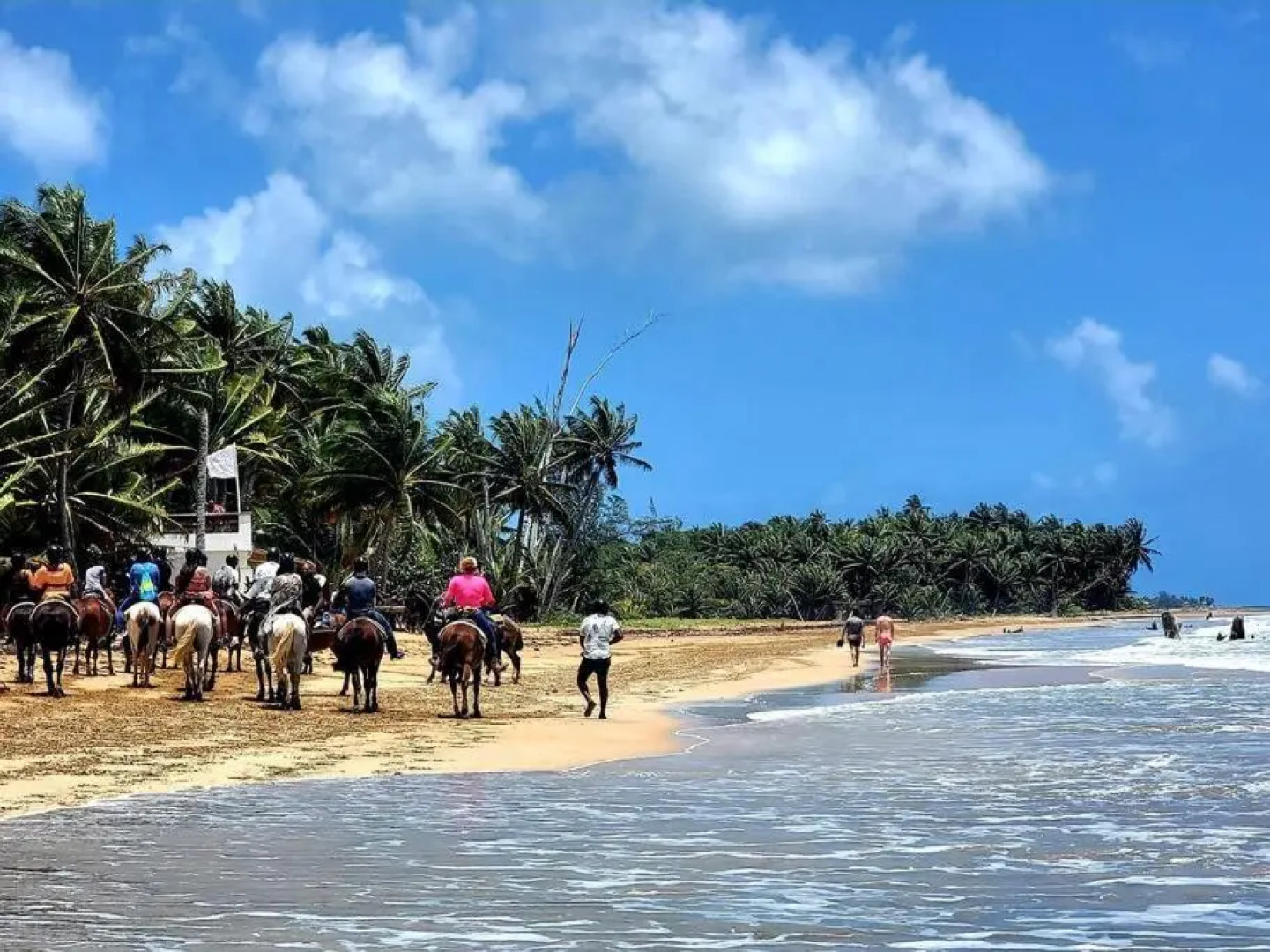 Peaceful ocean front home near Rainforest & rivers 102