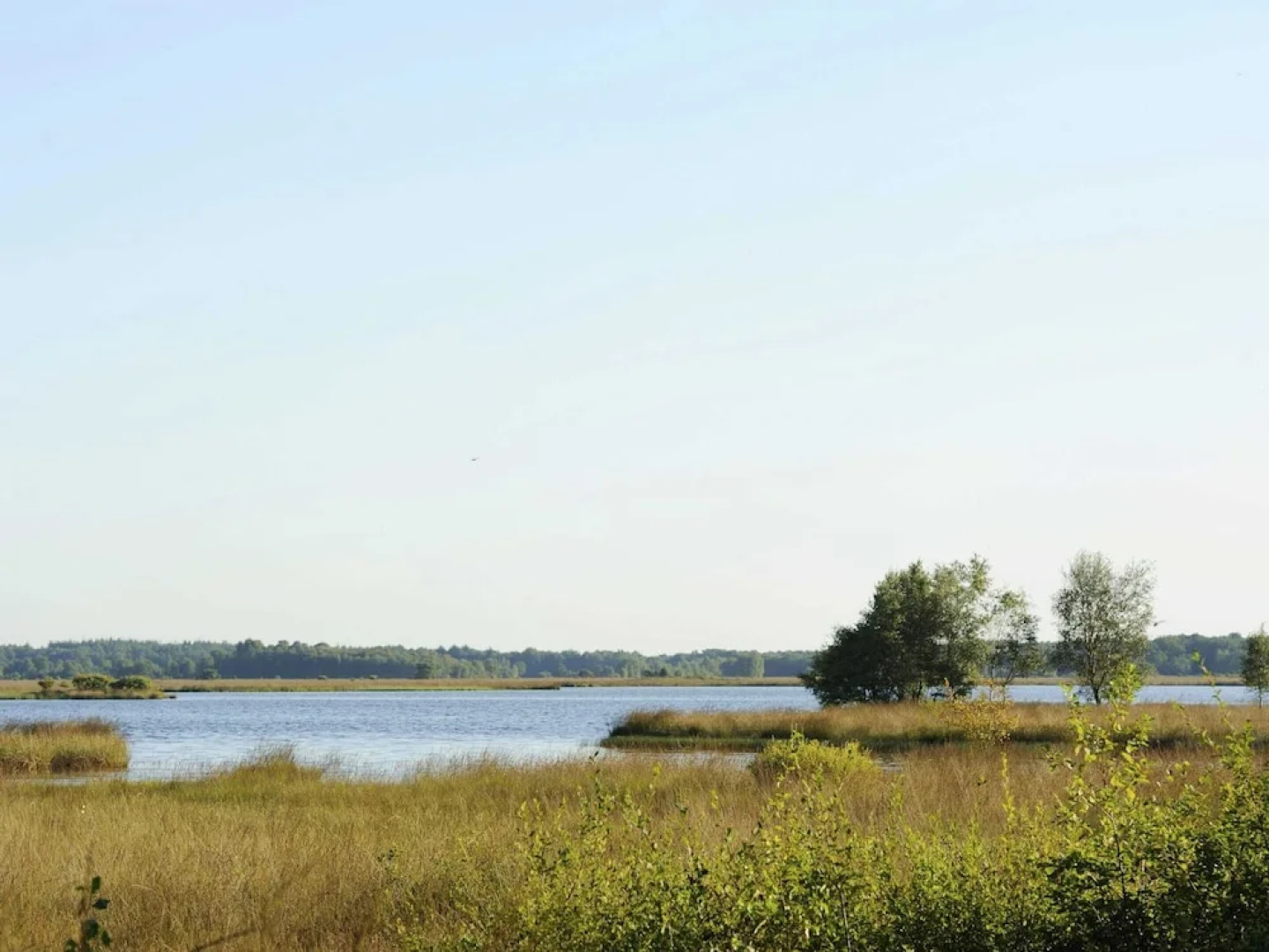 Holiday Park Escape in Drenthe