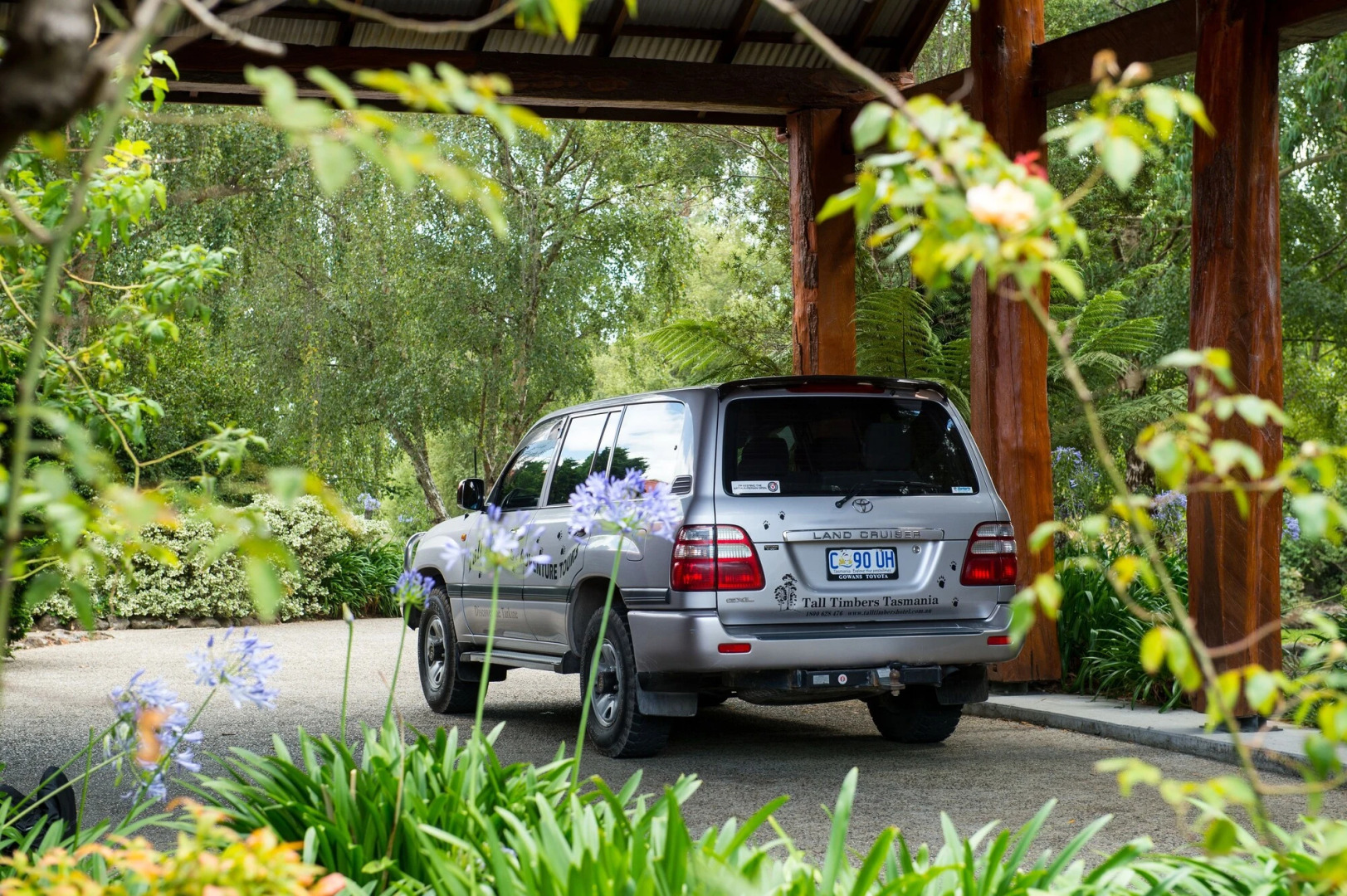 Tall Timbers Tasmania