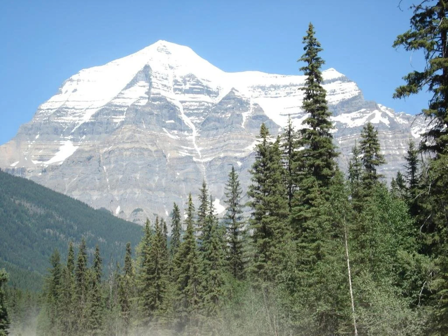 TimberWolf Lodge B&B