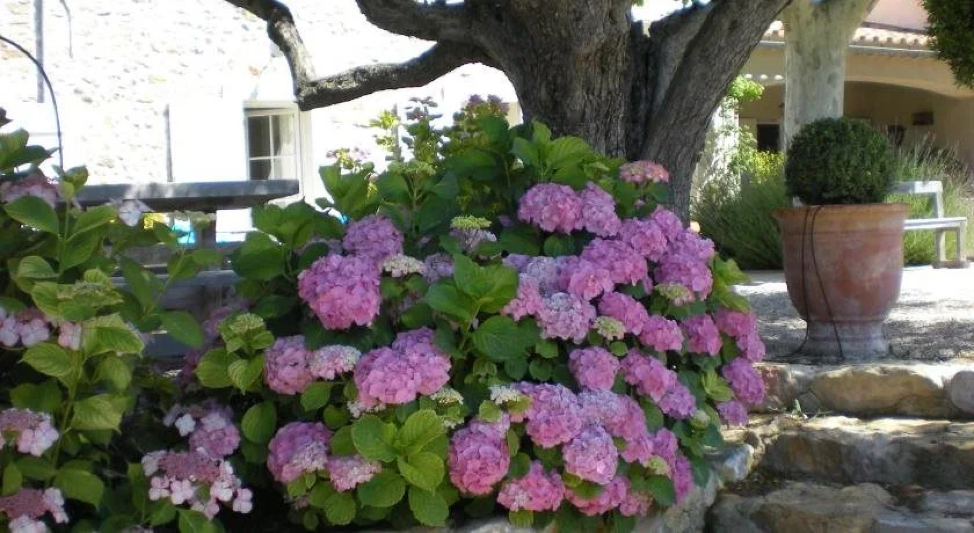 Bastide de Fontvieille - Chambres dHôtes
