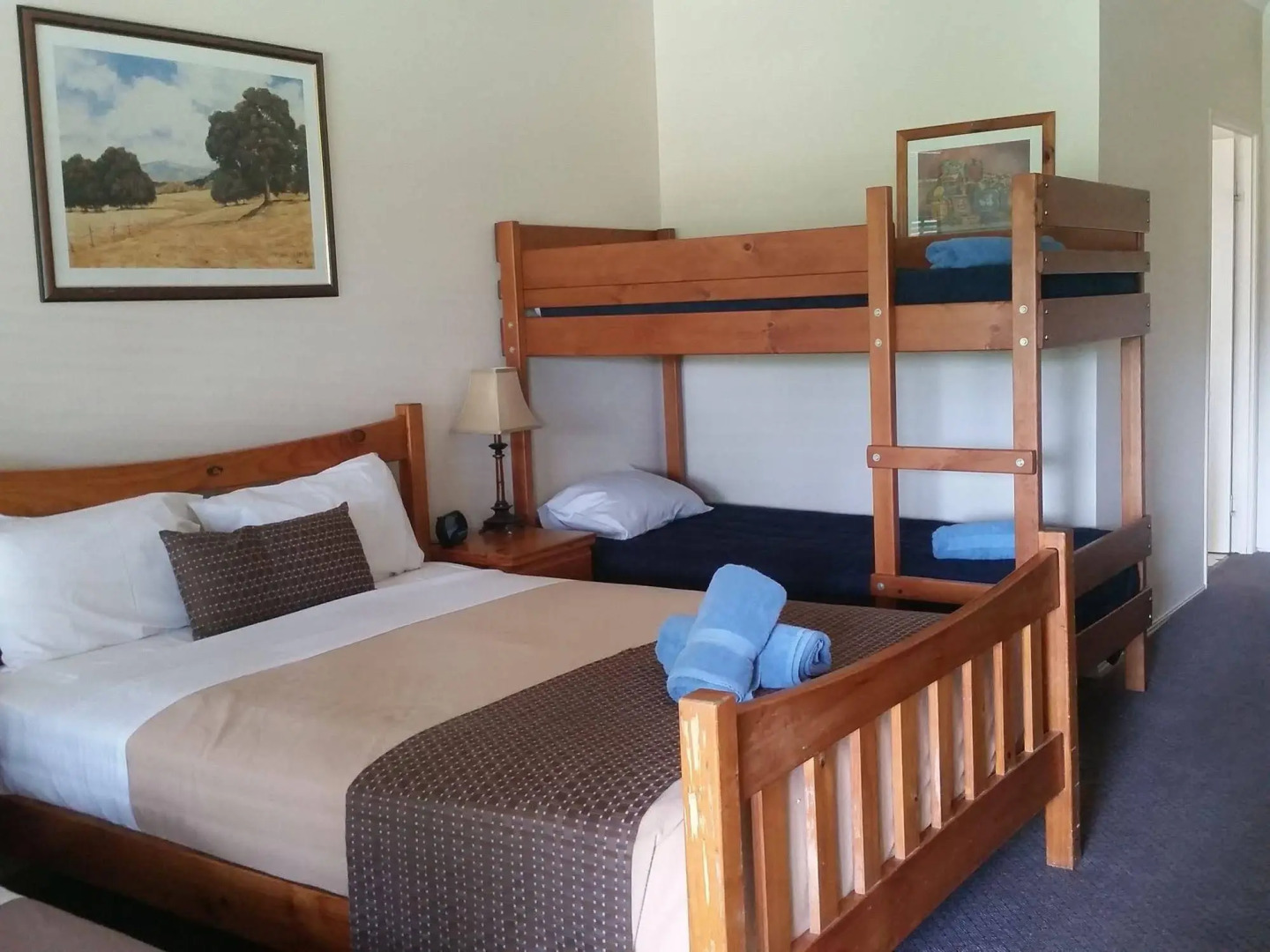 Bearded Dragon Tamborine Country Lodge