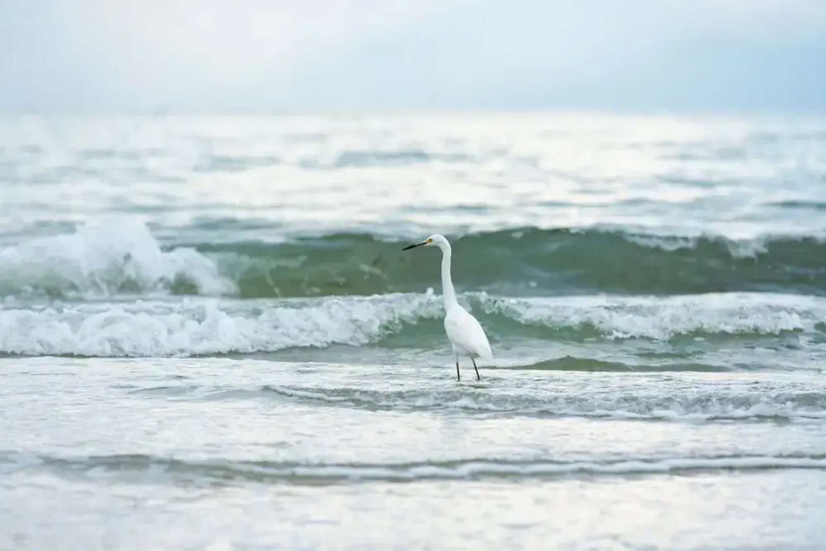 Amalfi Vacation Rental