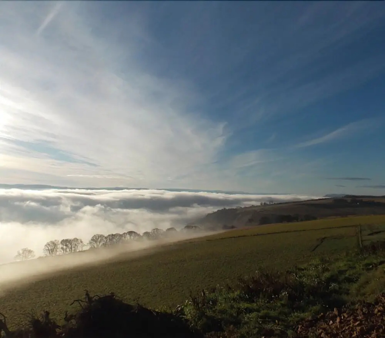 Aspen Yurt - Campsite