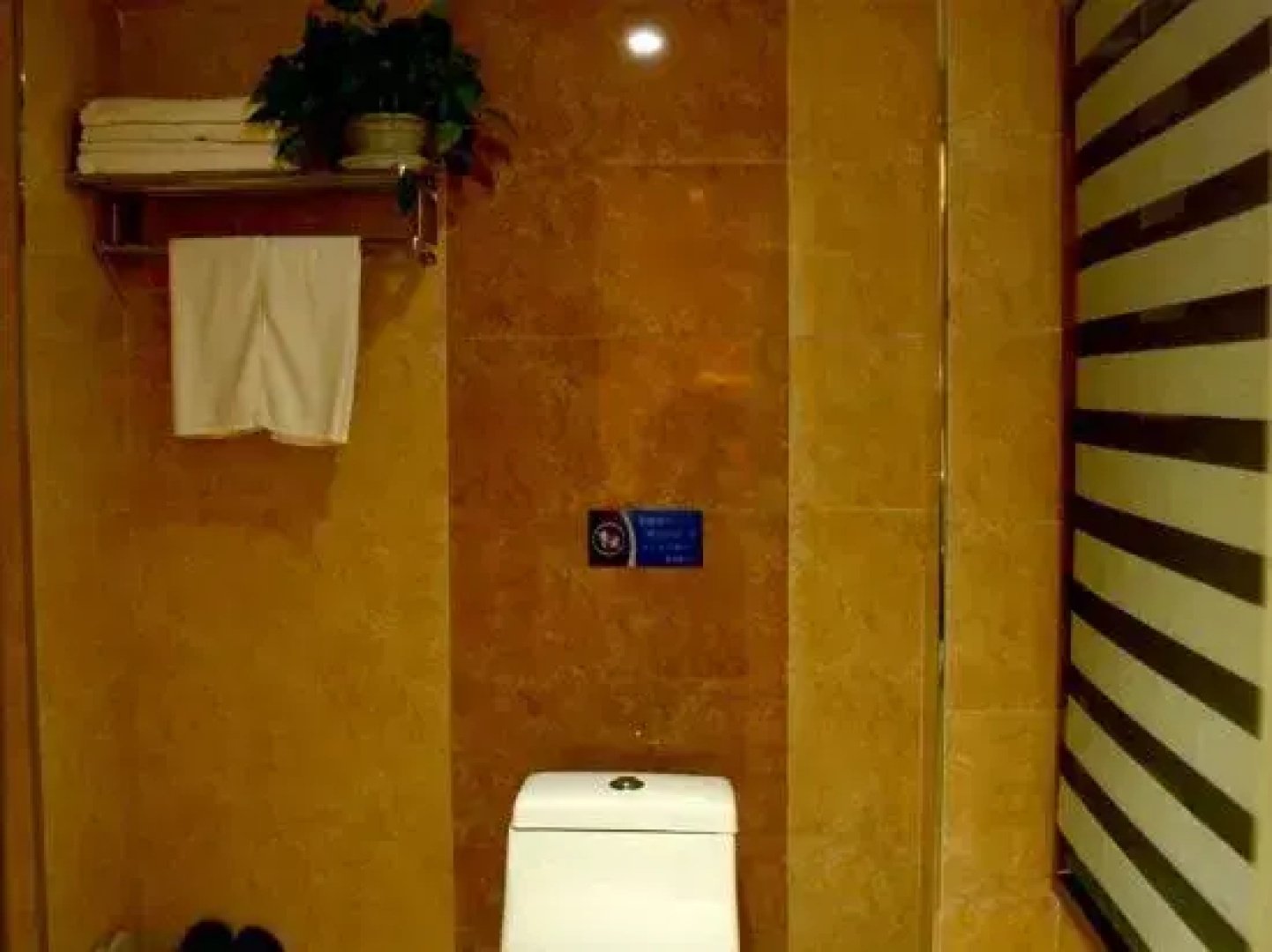 Zhenglanqi Mingshi Business Hotel