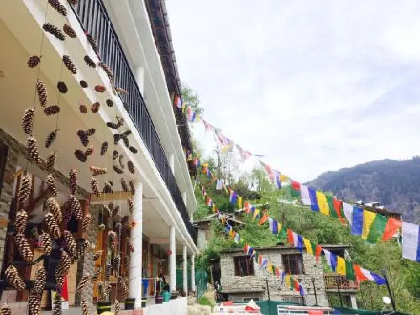 Bro's Backpacker's Fraternity House