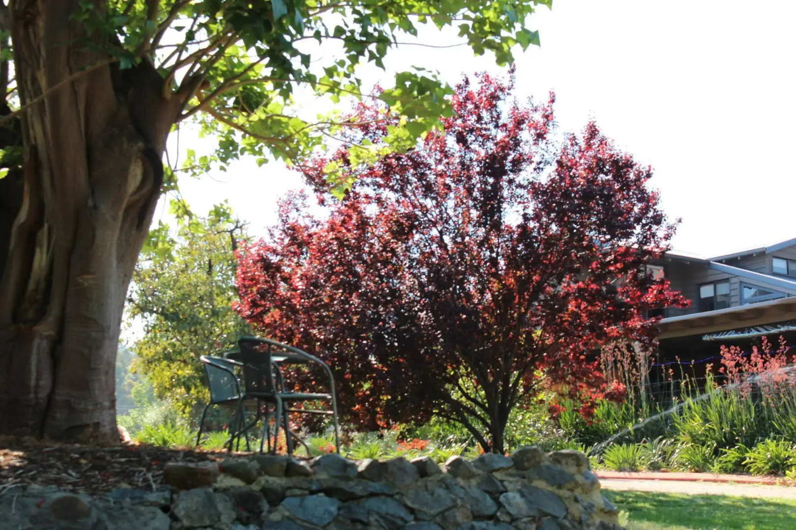 Avocados Accommodation